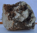 Wapień Filipiński - Kamień skała do akwarium