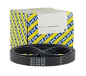 Pasek klinowy wielorowkowy SNR BMW 7 8 Dacia Sandero Logan Renault Clio Logan Modus Twingo Wind 1994-2015 CA 7PK1036