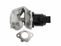 Zawór EGR Storm Citroen Ford Fiat Mazda Mini Peugeot Suzuki Volvo 1996-2017 9021
